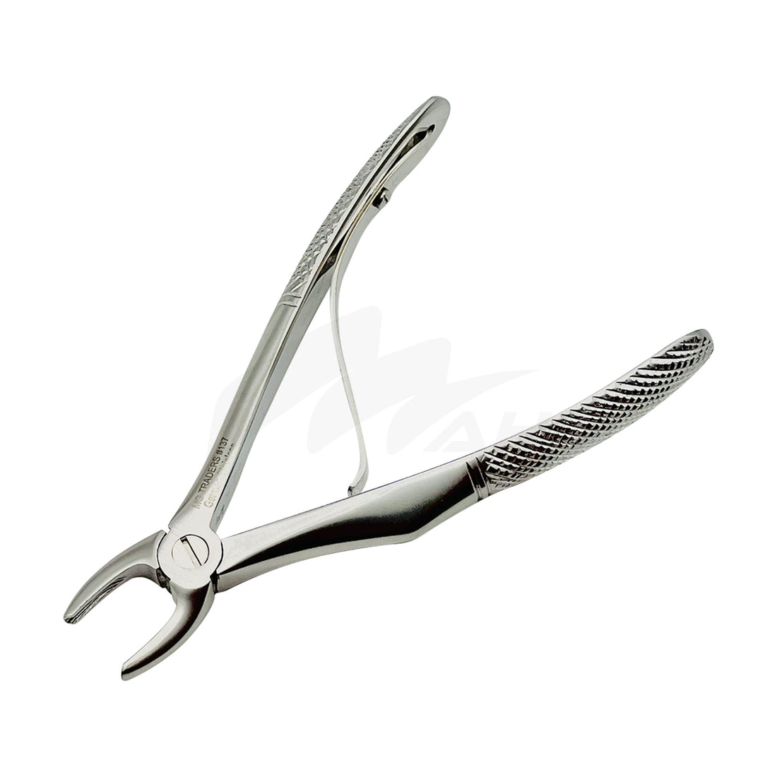<b>MGD 131</b><br> kids Extracting Forceps no.137 Upper Incisors German Stainless Steel