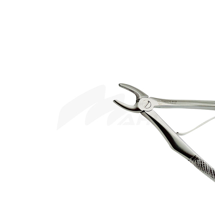 <b>MGD 131</b><br> kids Extracting Forceps no.137 Upper Incisors German Stainless Steel