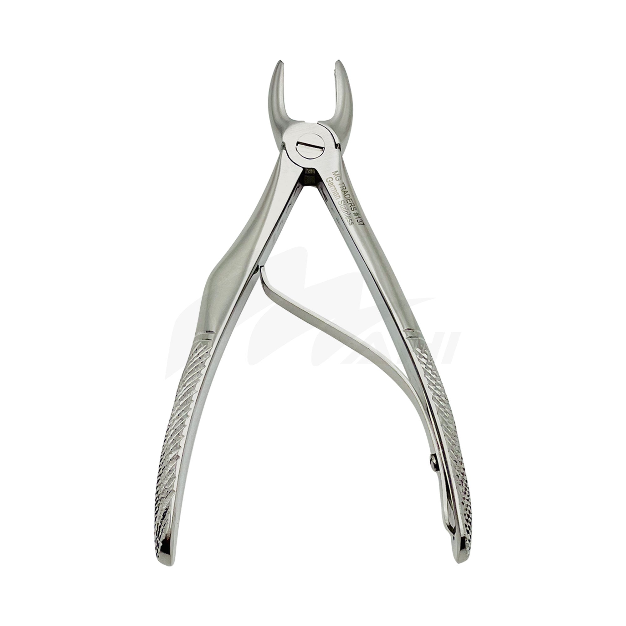 <b>MGD 131</b><br> kids Extracting Forceps no.137 Upper Incisors German Stainless Steel