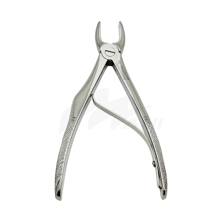 <b>MGD 131</b><br> kids Extracting Forceps no.137 Upper Incisors German Stainless Steel